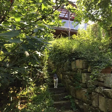 Pergola House In A Green Oasis With Fantastic View Apartment Petrovaradin