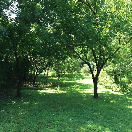 Pergola House In A Green Oasis With Fantastic View * Petrovaradin