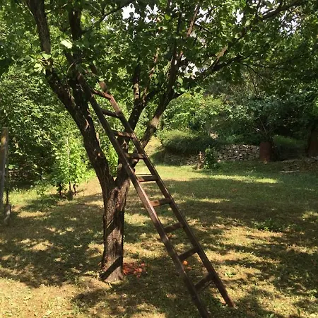 Apartment Pergola House In A Oasis With Fantastic View Petrovaradin