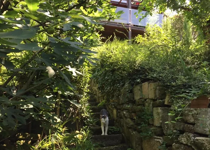 Pergola House In A Oasis With Fantastic View Lejlighed Petrovaradin