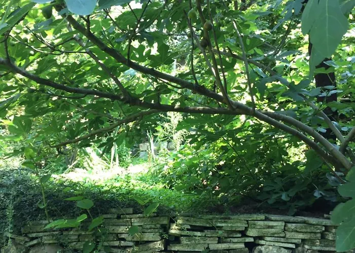 Lejlighed Pergola House In A Oasis With Fantastic View Petrovaradin