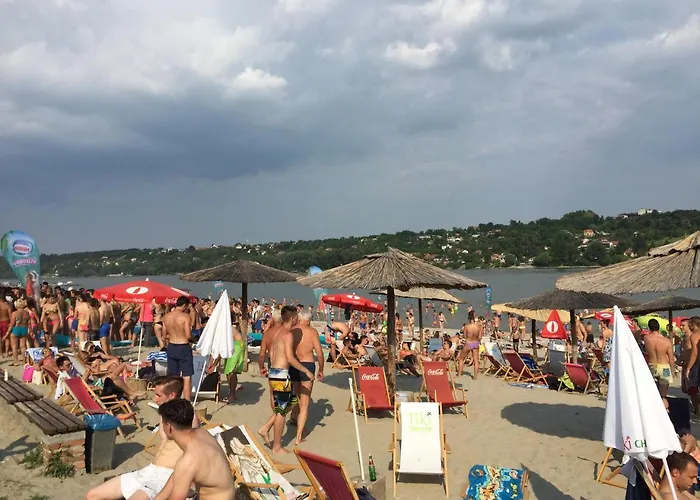 Lejlighed Pergola House In A Oasis With Fantastic View Petrovaradin