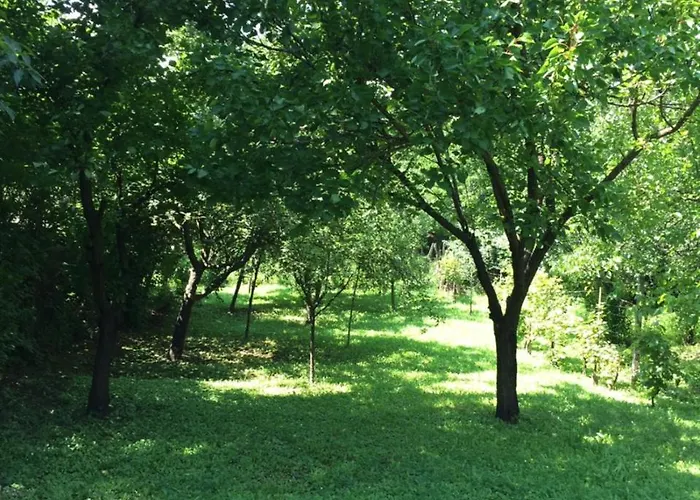 Pergola House In A Oasis With Fantastic View * Petrovaradin