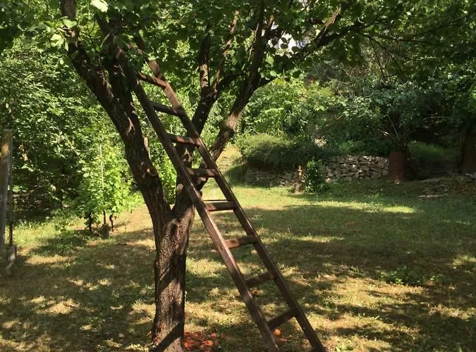 Lejlighed Pergola House In A Oasis With Fantastic View Petrovaradin