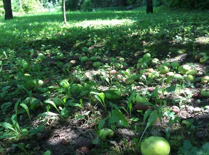 Lejlighed Pergola House In A Oasis With Fantastic View