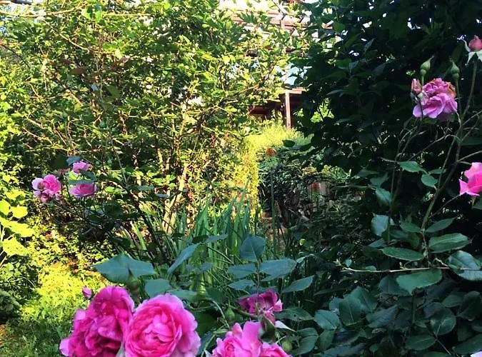 Pergola House In A Oasis With Fantastic View Petrovaradin